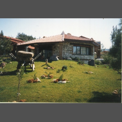 Çamyuva Rustik Zeytinalani İzmir